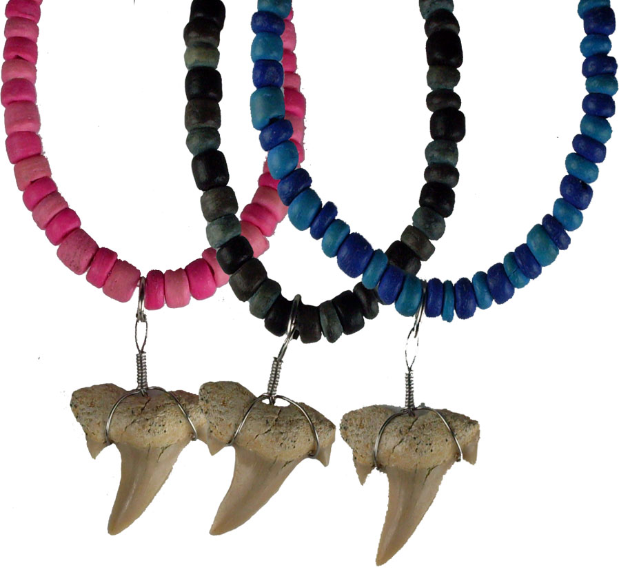 Shark Tooth Necklace #1