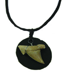 Shark Tooth Necklace #15