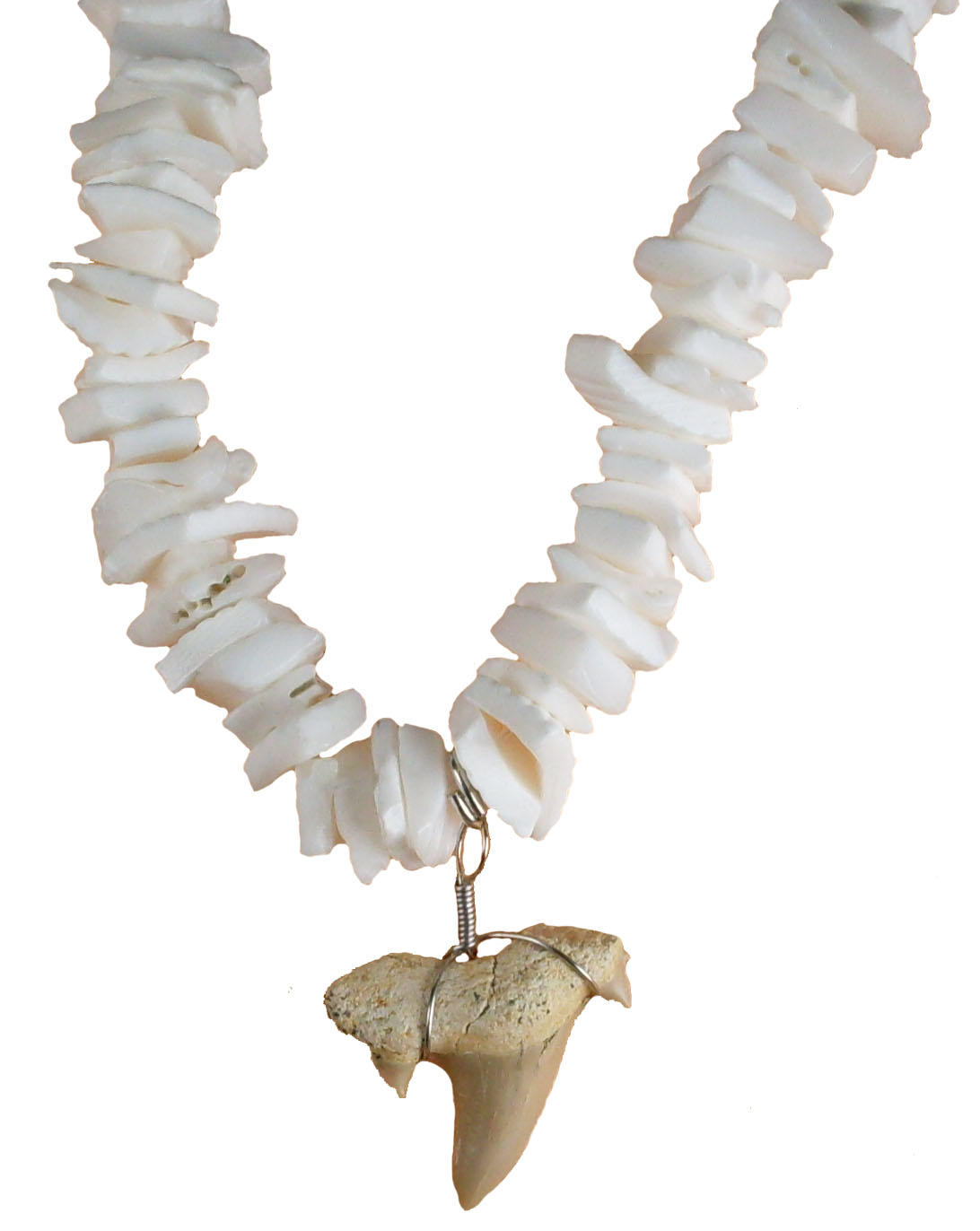 Shark Tooth Necklace #4